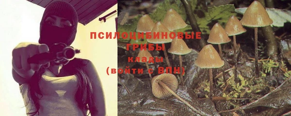 ГАЛЛЮЦИНОГЕННЫЕ ГРИБЫ Алексеевка