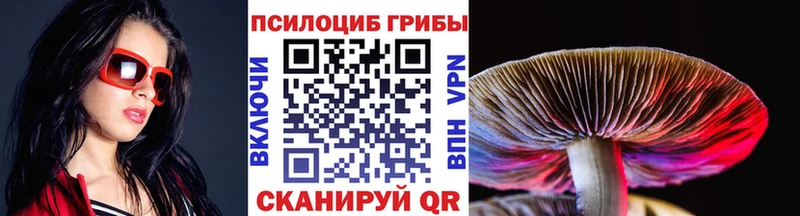 купить наркотики цена  Фёдоровский  Псилоцибиновые грибы мицелий 